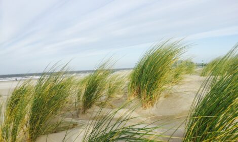 Ostsee – Sommerurlaub