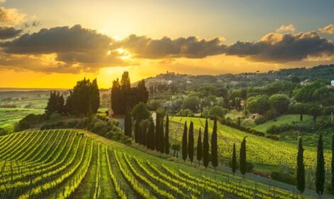 Kulinarik, Wein & Sünde – Toskana/ITA – Zusatzwoche